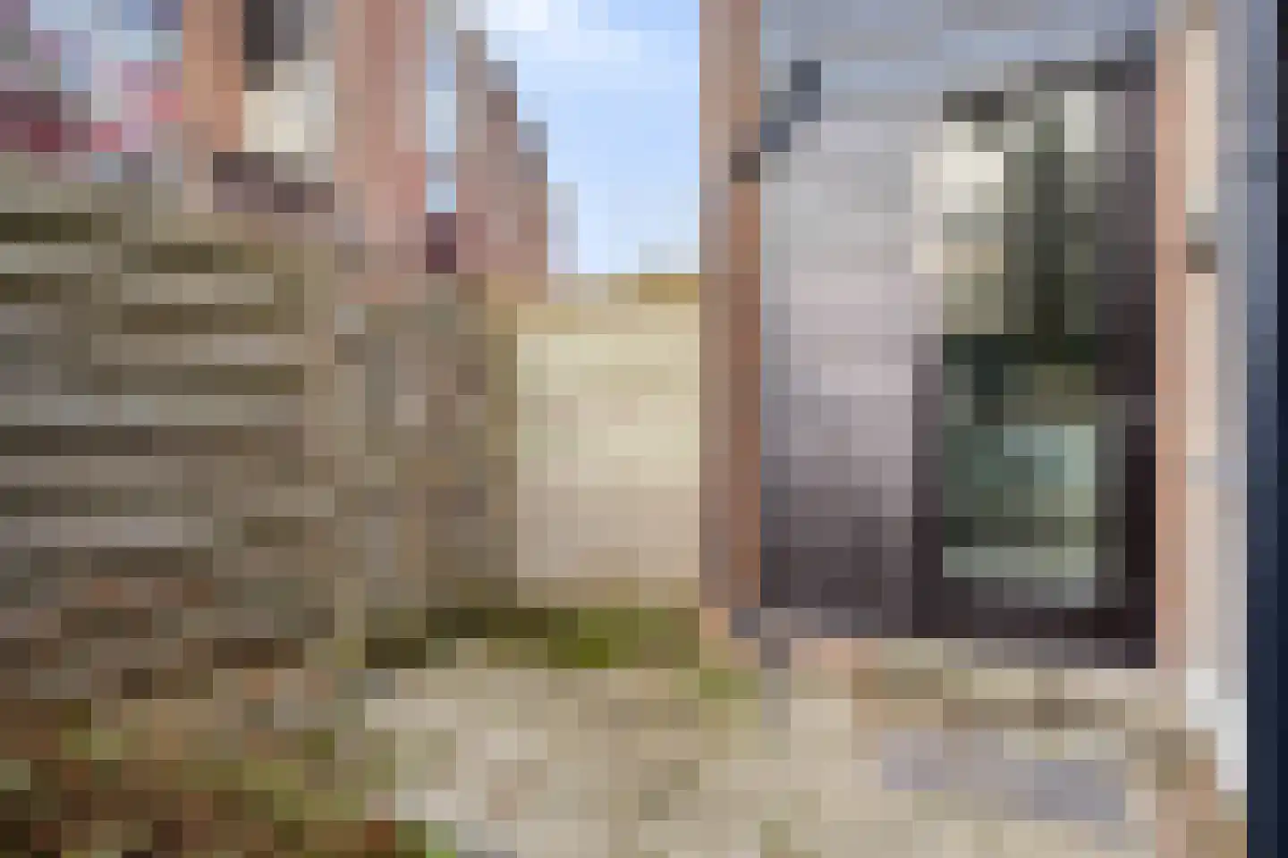 Statenhof 21 Goes thumbnail 29