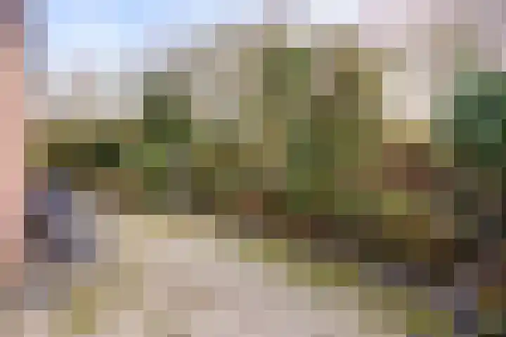 Statenhof 21 Goes thumbnail 29
