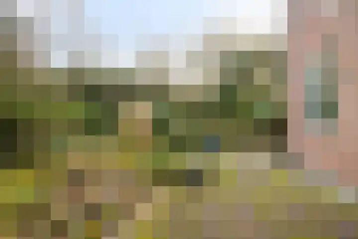 Statenhof 21 Goes thumbnail 30