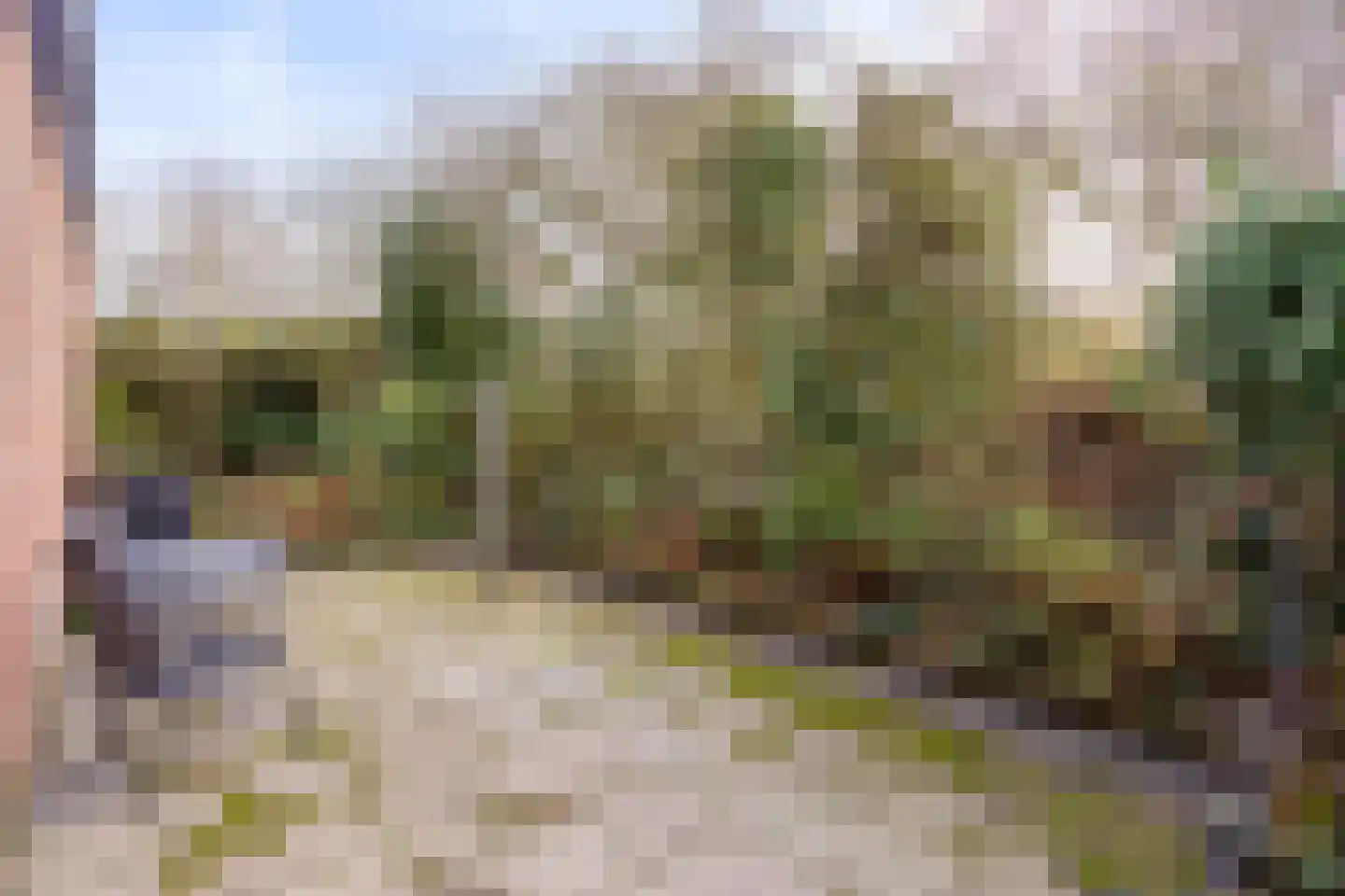 Statenhof 21 Goes thumbnail 31