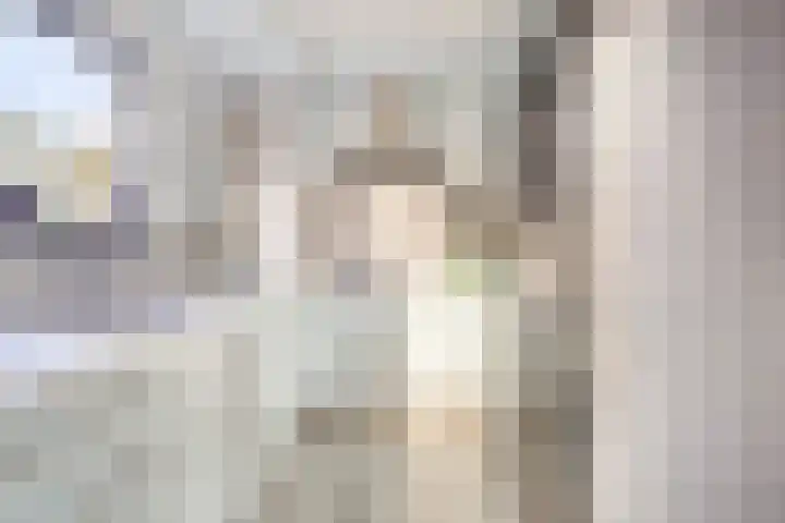 Statenhof 21 Goes thumbnail 9