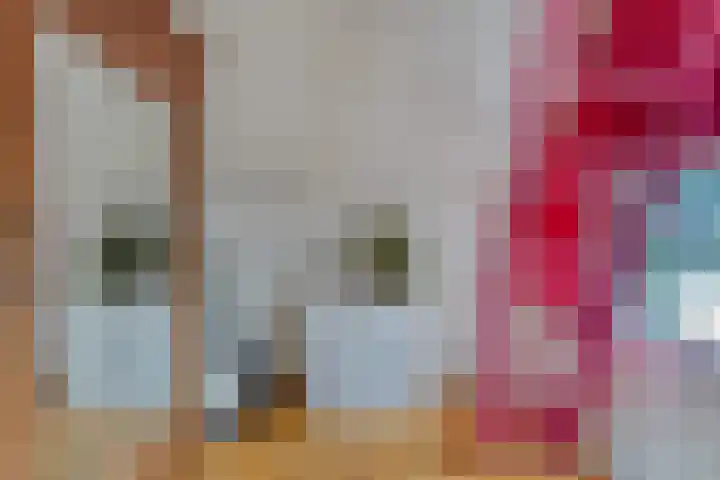 Statenhof 26 Goes thumbnail 27