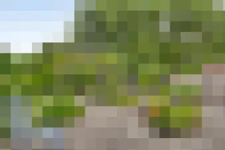 Statenhof 26 Goes thumbnail 4