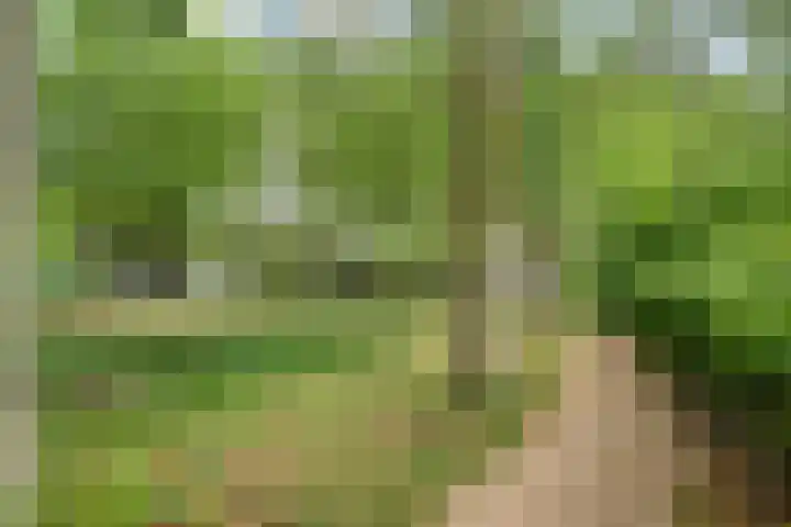 Statenhof 26 Goes thumbnail 41