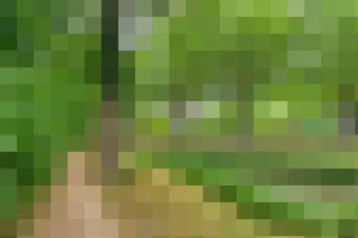 Statenhof 26 Goes thumbnail 42