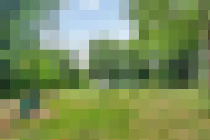 Statenhof 26 Goes thumbnail 43