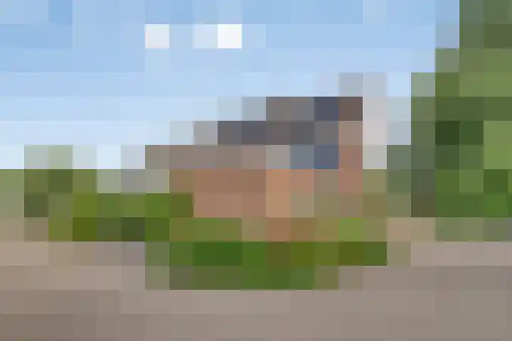 Statenhof 26 Goes thumbnail 6