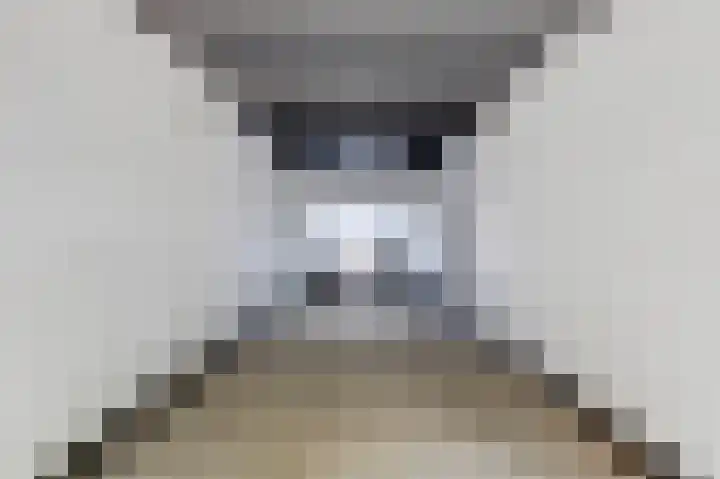 Statenhof 4 Goes thumbnail 32