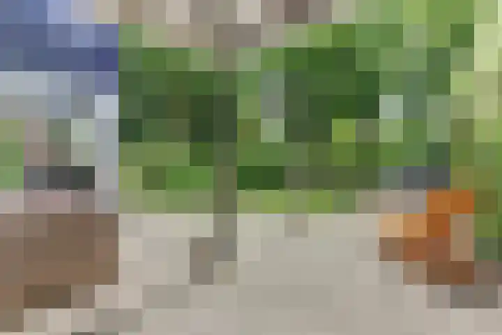 Statenhof 4 Goes thumbnail 39