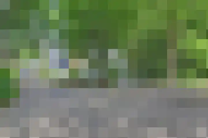 Statenhof 4 Goes thumbnail 4
