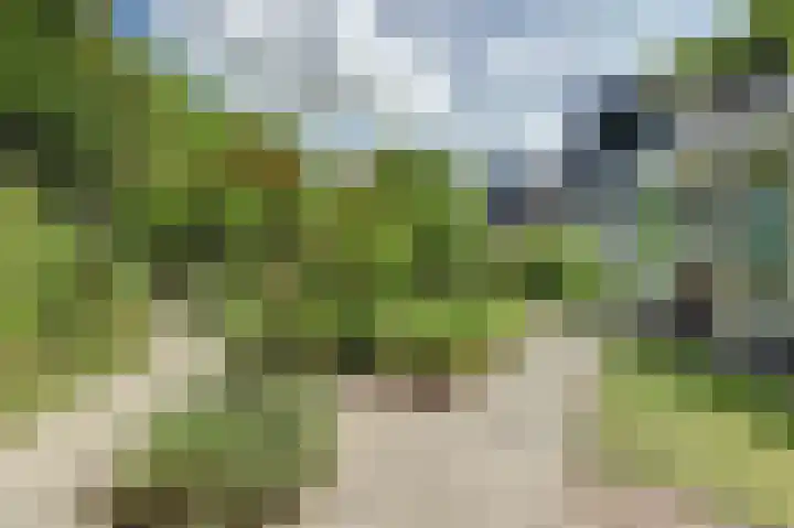 Statenhof 4 Goes thumbnail 40