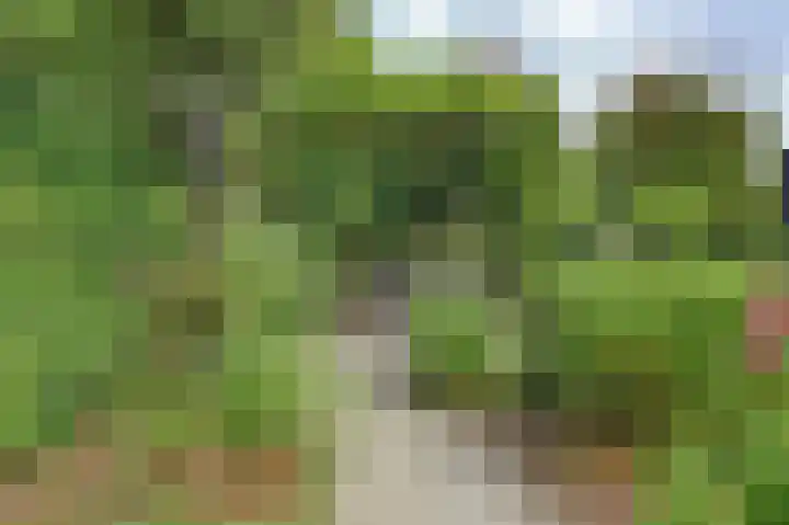 Statenhof 4 Goes thumbnail 41
