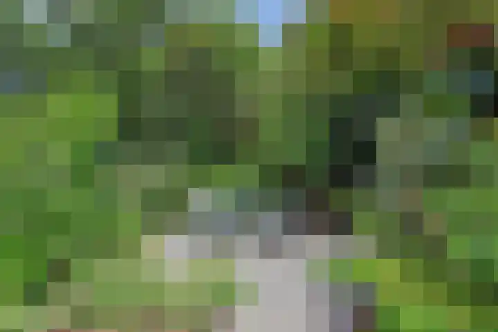 Statenhof 4 Goes thumbnail 42