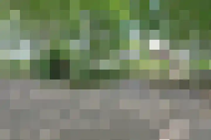 Statenhof 4 Goes thumbnail 43