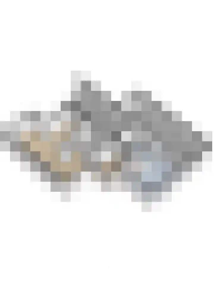 Statenhof 4 Goes thumbnail 49
