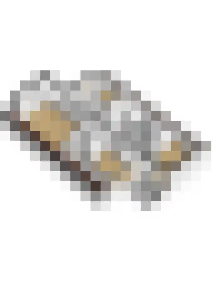 Statenhof 4 Goes thumbnail 50