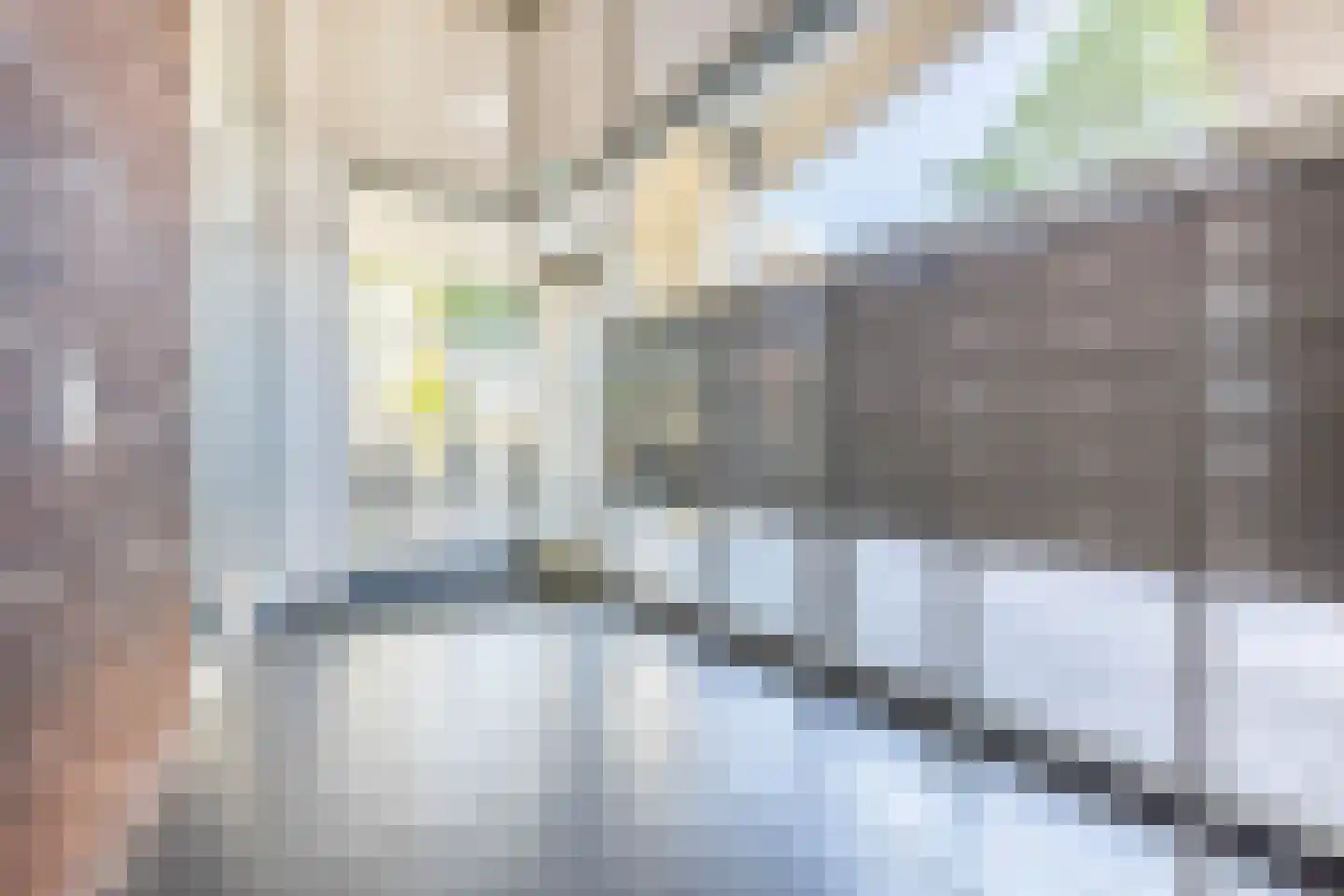 Statenjachtstraat 215 Amsterdam thumbnail 8