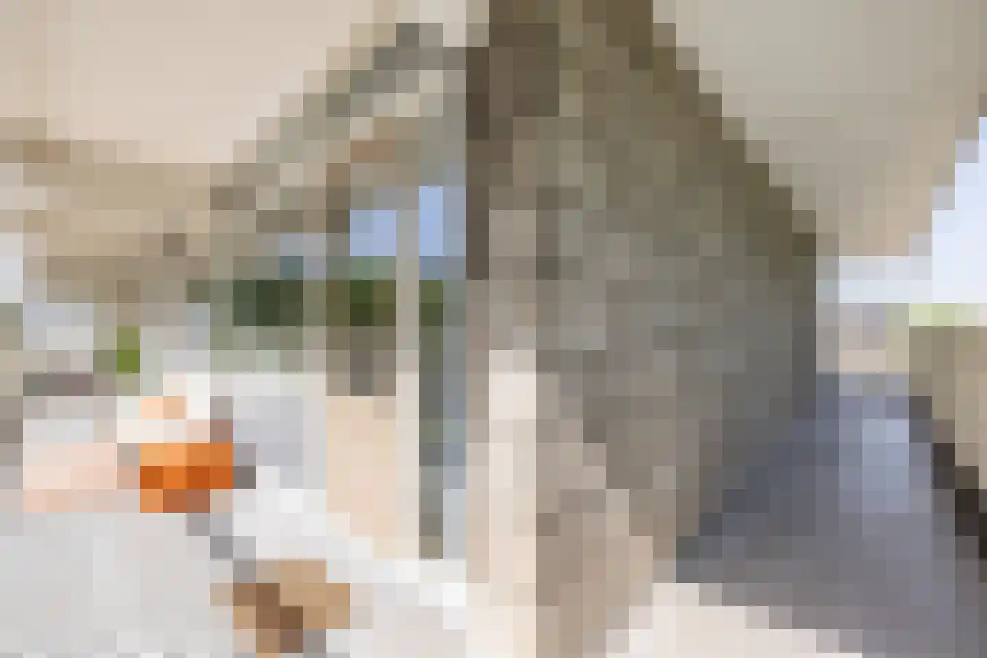 Statenjachtstraat 404 Amsterdam thumbnail 28