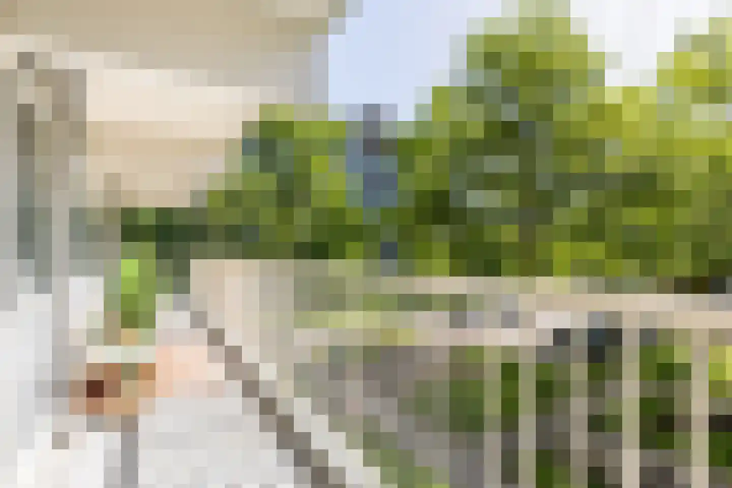 Statenjachtstraat 404 Amsterdam thumbnail 31
