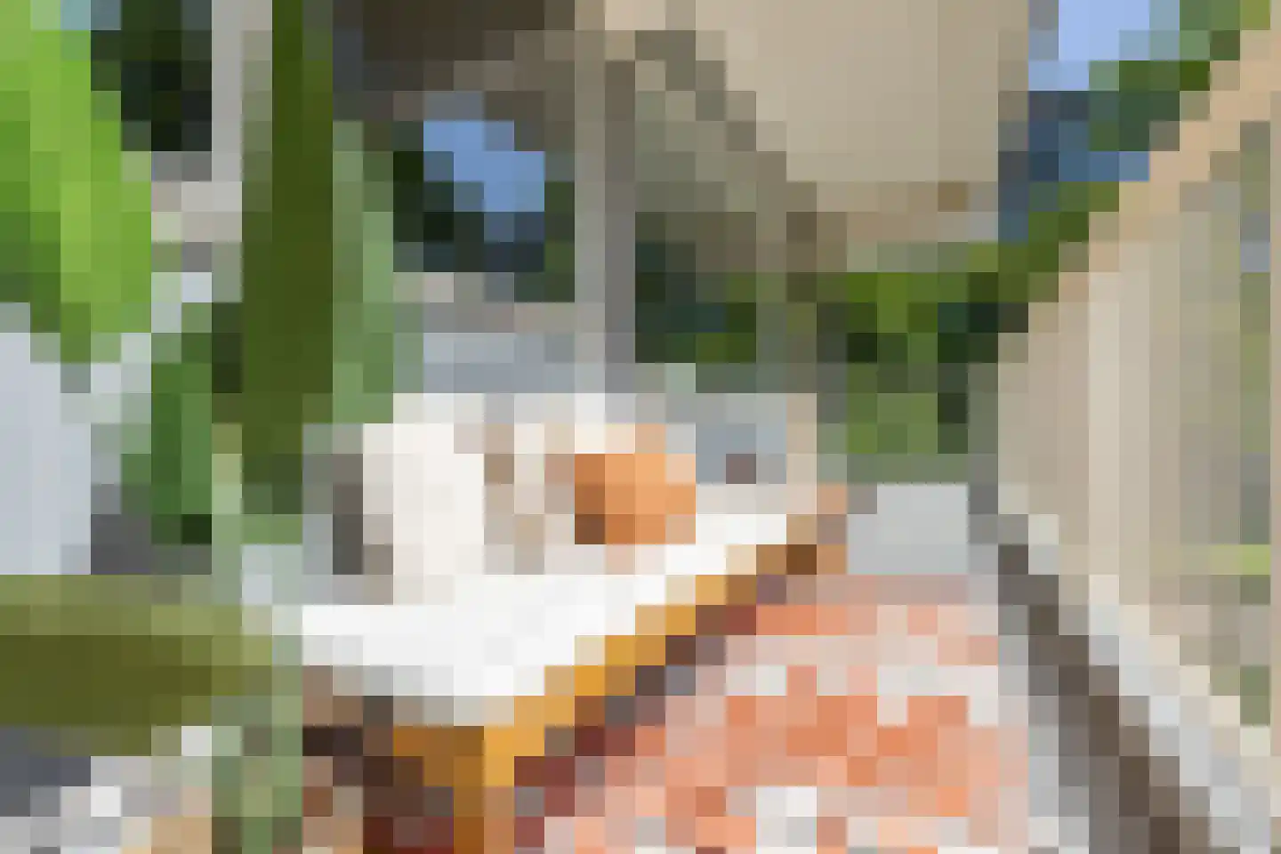 Statenjachtstraat 404 Amsterdam thumbnail 4