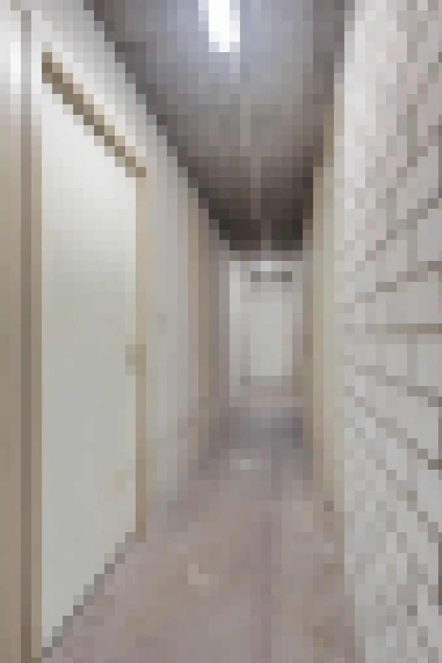 Statenkwartier 1 's-Hertogenbosch thumbnail 20