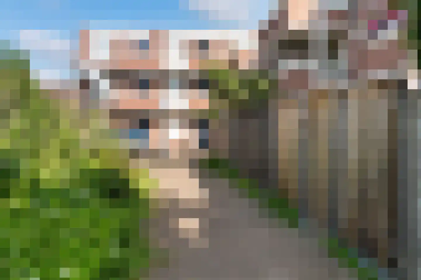 Statenkwartier 1 's-Hertogenbosch thumbnail 21