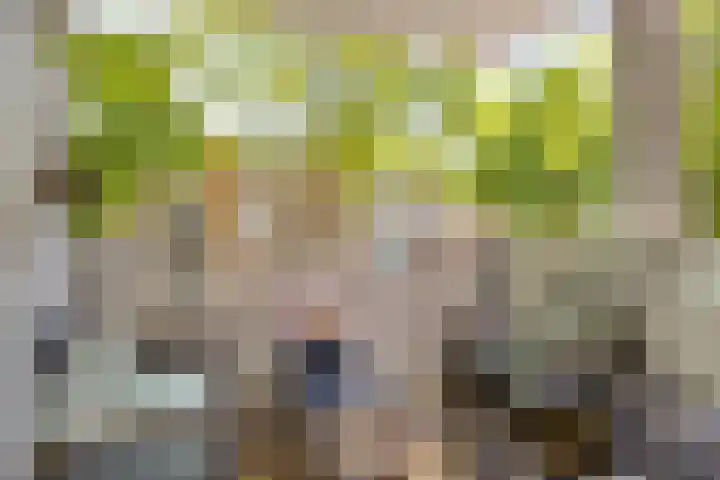Statenkwartier 122 's-Hertogenbosch thumbnail 10