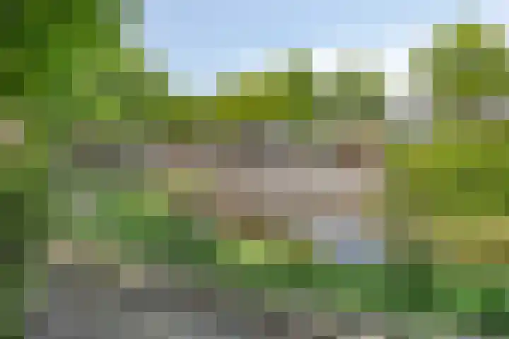 Statenkwartier 122 's-Hertogenbosch thumbnail 20