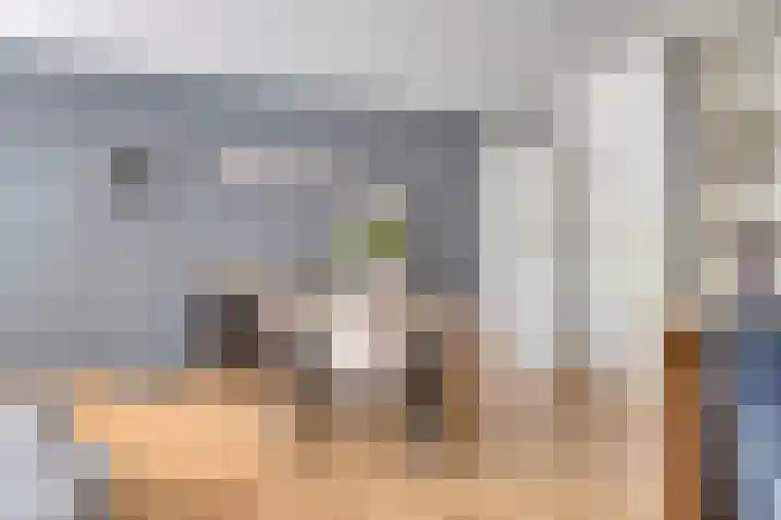 Statenkwartier 122 's-Hertogenbosch thumbnail 7