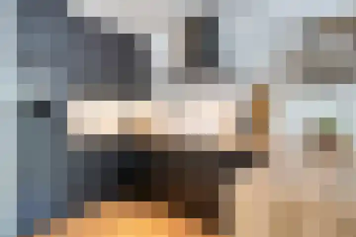 Statenkwartier 122 's-Hertogenbosch thumbnail 8