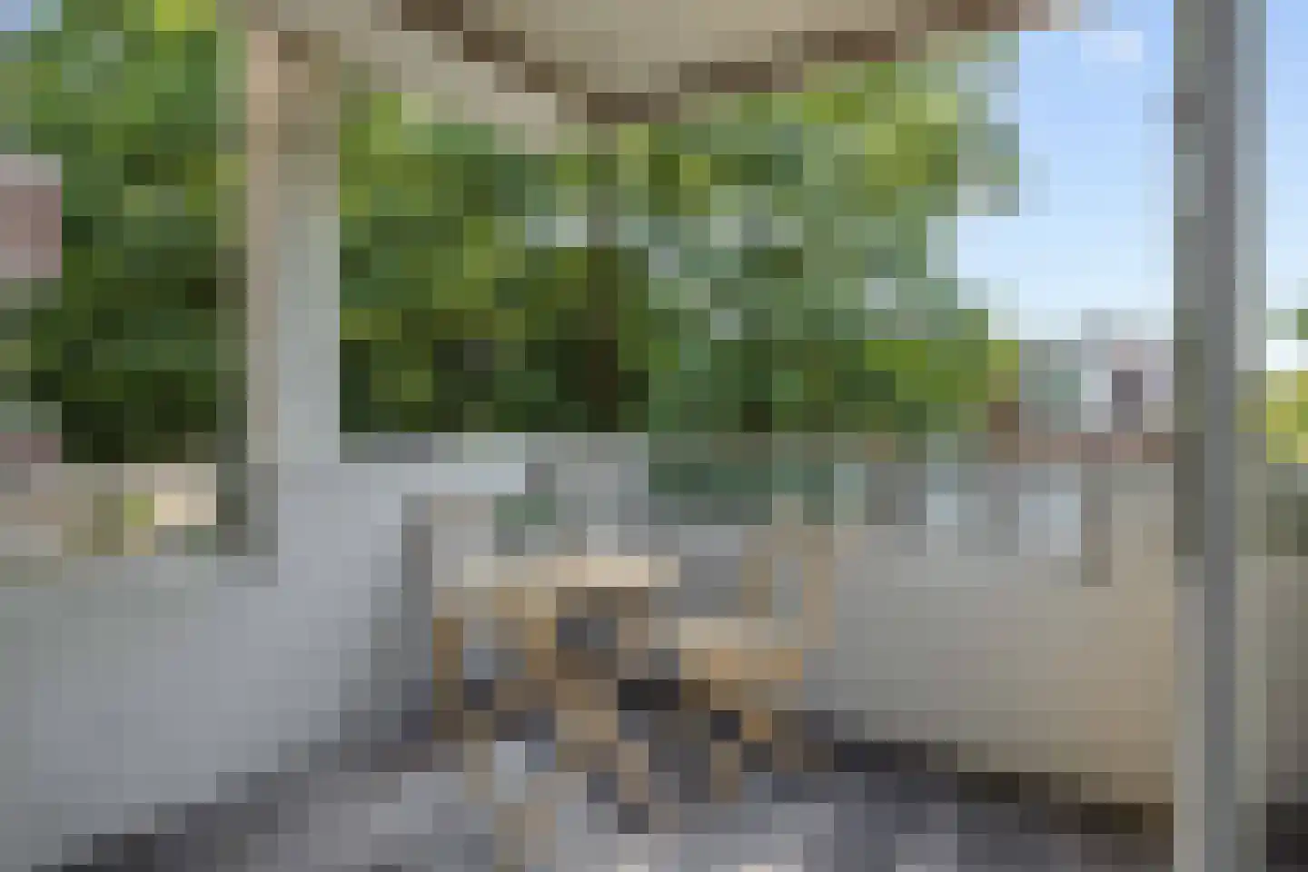 Statenkwartier 140 's-Hertogenbosch thumbnail 7
