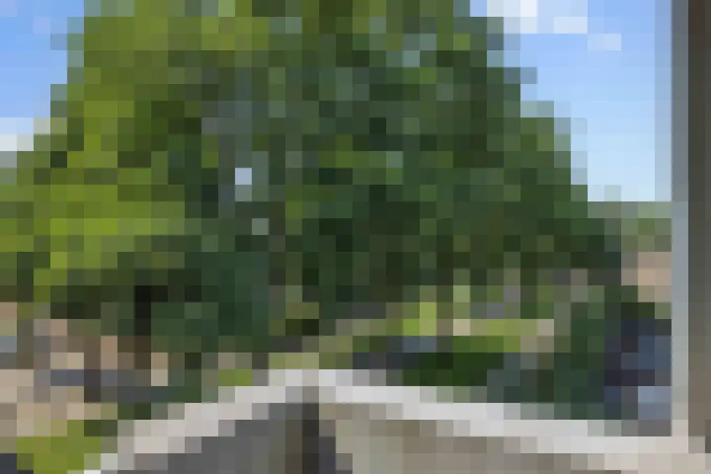 Statenkwartier 140 's-Hertogenbosch thumbnail 9
