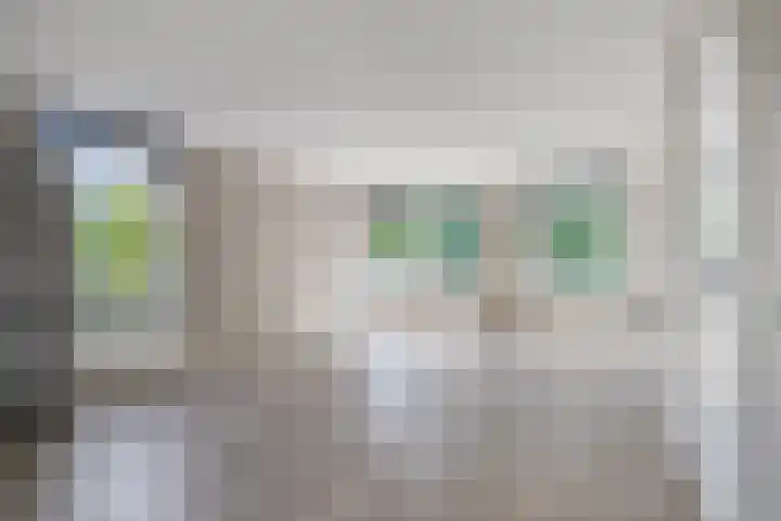 Statenkwartier 148 's-Hertogenbosch thumbnail 14
