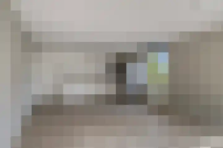Statenkwartier 148 's-Hertogenbosch thumbnail 16
