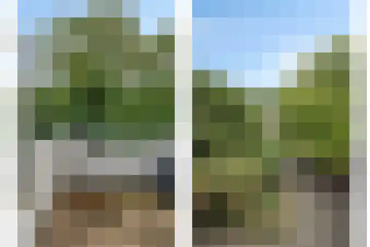 Statenkwartier 148 's-Hertogenbosch thumbnail 29