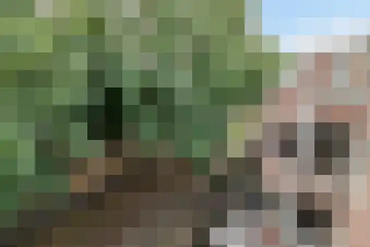 Statenkwartier 148 's-Hertogenbosch thumbnail 30