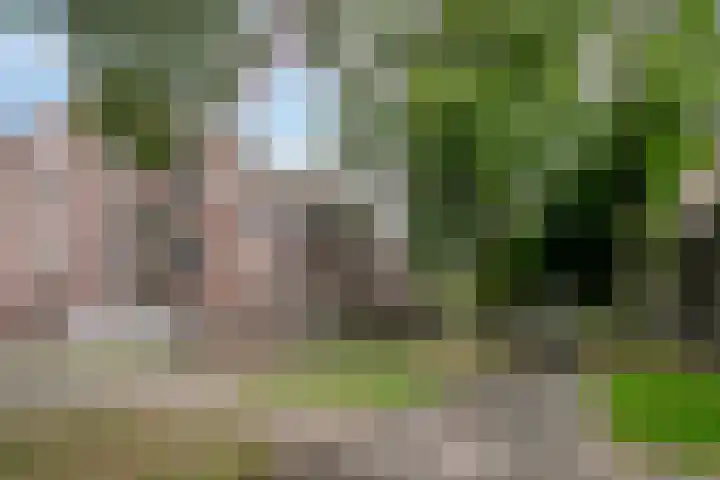 Statenkwartier 148 's-Hertogenbosch thumbnail 32