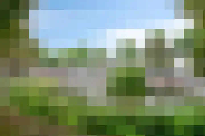 Statenkwartier 148 's-Hertogenbosch thumbnail 33