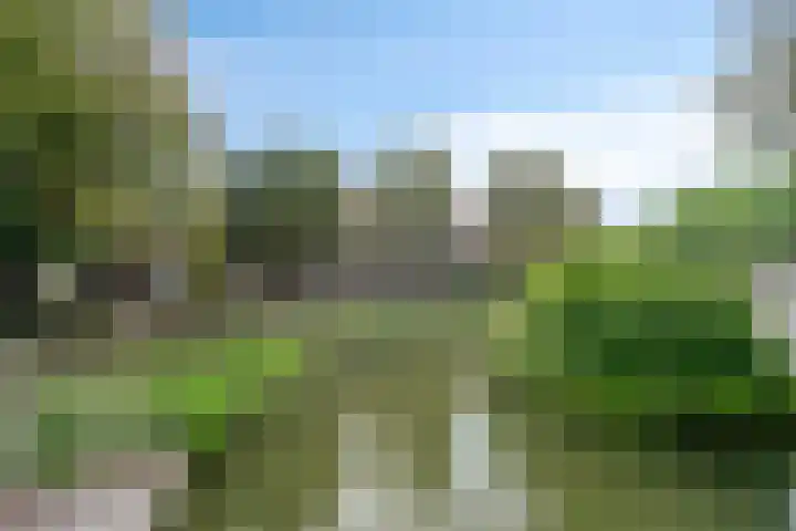 Statenkwartier 148 's-Hertogenbosch thumbnail 34