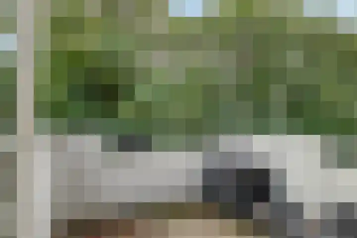 Statenkwartier 148 's-Hertogenbosch thumbnail 6