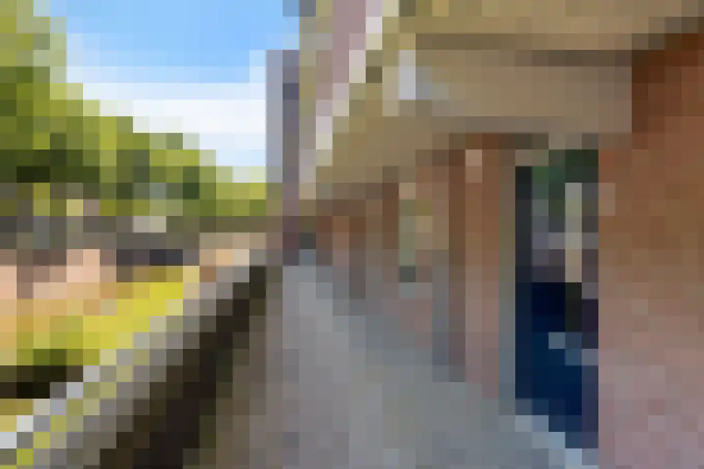 Statenkwartier 15 's-Hertogenbosch thumbnail 14