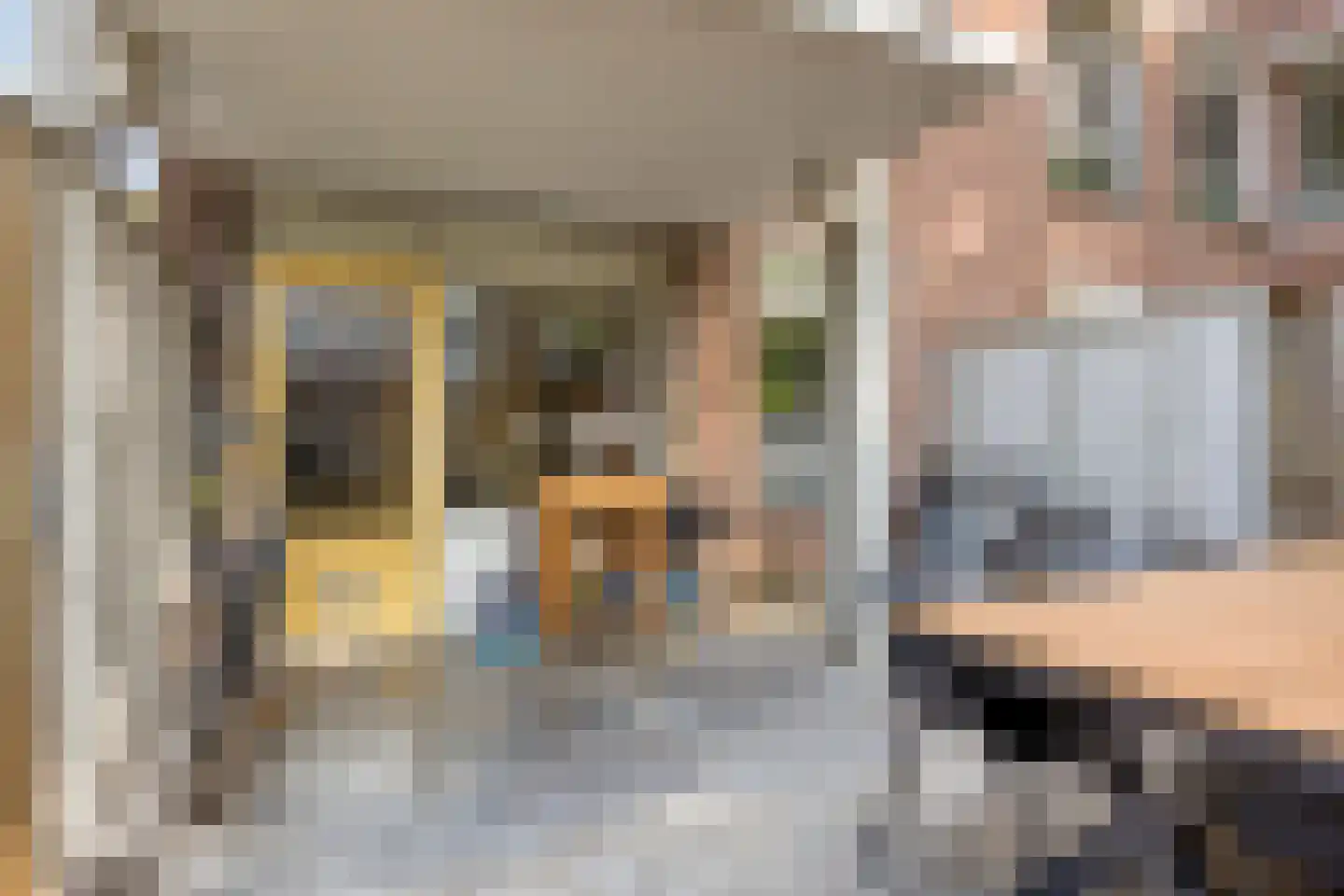 Statenkwartier 162 's-Hertogenbosch thumbnail 17