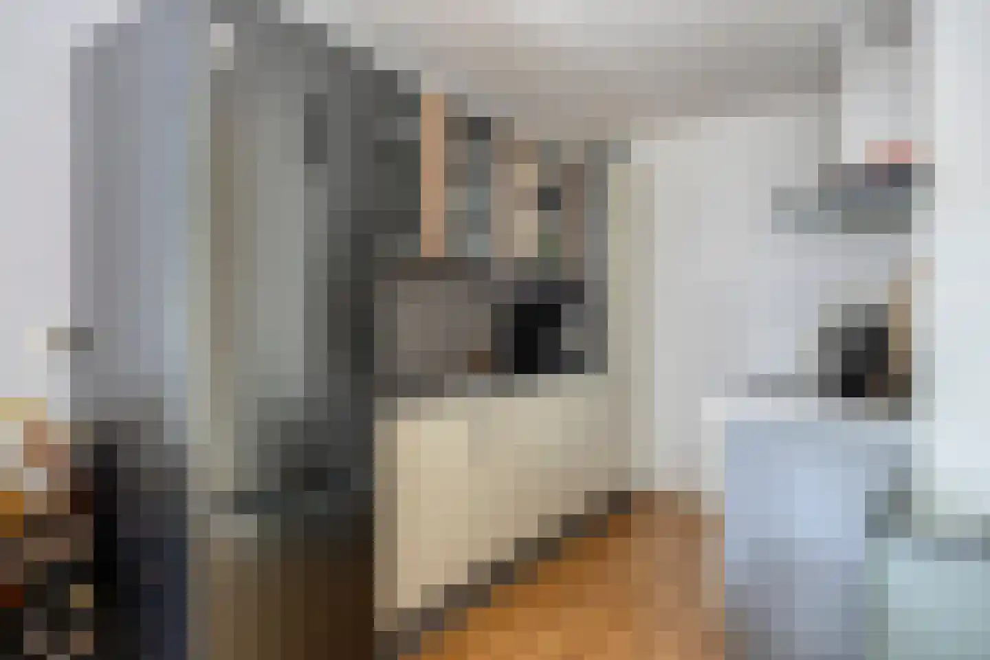 Statenkwartier 162 's-Hertogenbosch thumbnail 9