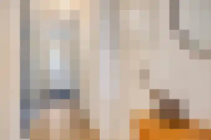 Statenkwartier 24 's-Hertogenbosch thumbnail 10