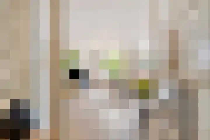 Statenkwartier 24 's-Hertogenbosch thumbnail 13