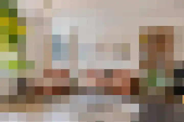 Statenkwartier 24 's-Hertogenbosch thumbnail 15