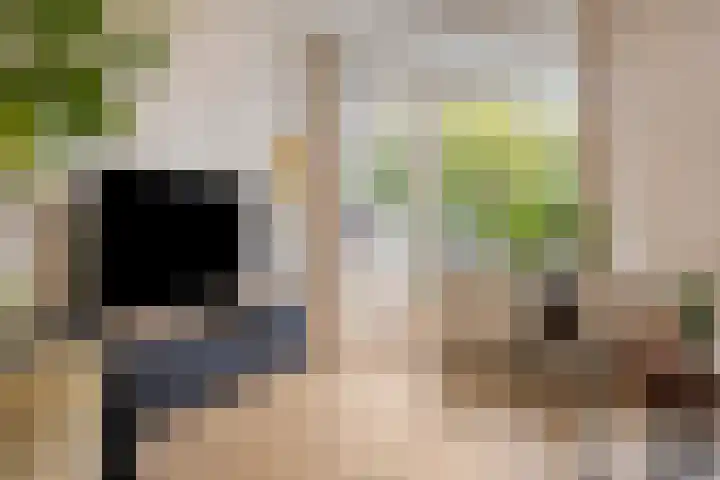 Statenkwartier 24 's-Hertogenbosch thumbnail 16