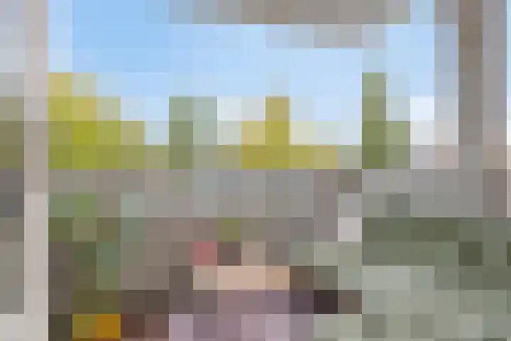 Statenkwartier 24 's-Hertogenbosch thumbnail 18
