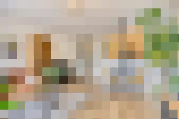 Statenkwartier 24 's-Hertogenbosch thumbnail 19