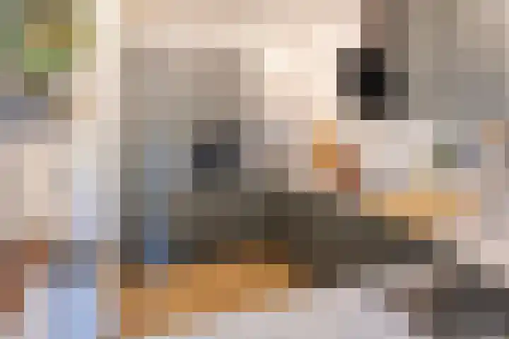 Statenkwartier 24 's-Hertogenbosch thumbnail 21